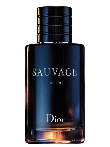 sauvage parfym dior uomo recensioni|dior cologne perfume.